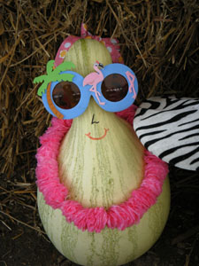 Jazzy Gourd.